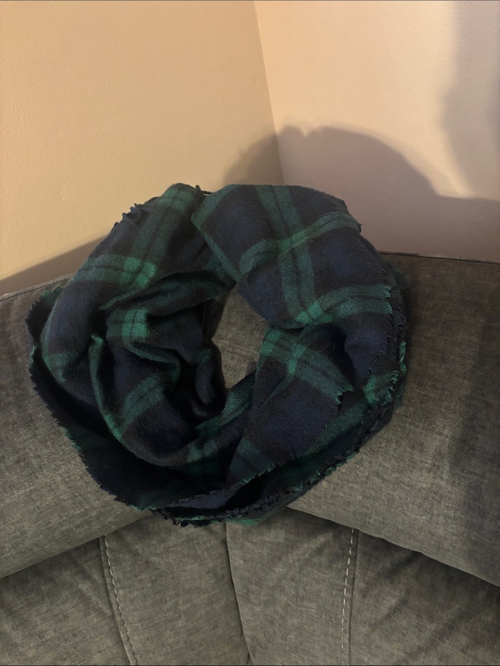 Banana Republic Cozy Plaid Scarf in Navy and Forest Green plaid (Tartan)